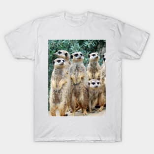 Meerkat 006 T-Shirt